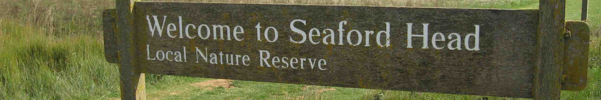 Seaford Head Local Nature Reserve sign with chalk grassland and cliffs in the background